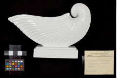 Foto eines Tintenfasses in Papierbootform (NHMW-ZOO-MO-0081100-ETH-012)